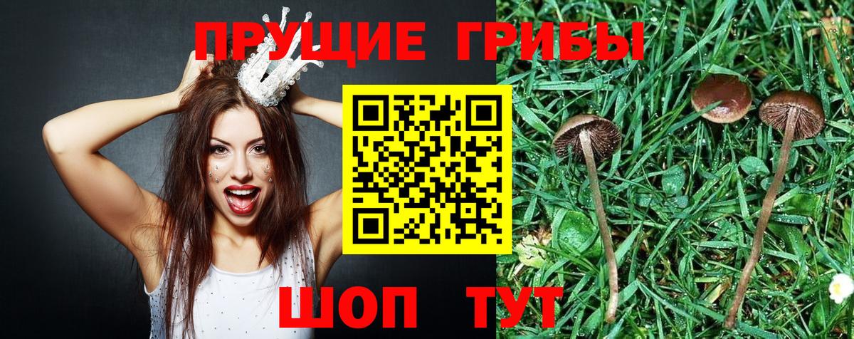 Галлюциногенные грибы мухоморы Зеленогорск