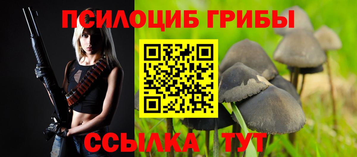 Галлюциногенные грибы Cubensis  Вход с VPN  Зеленогорск 