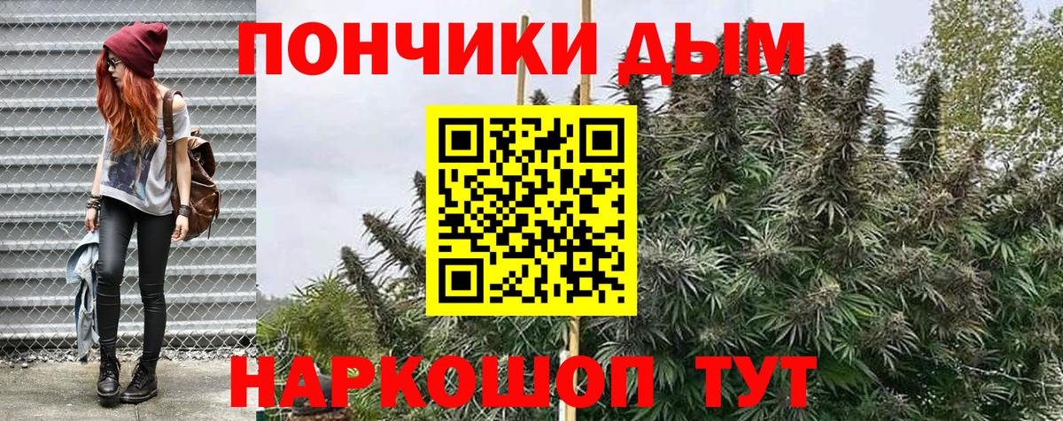 Канабис сатива Зеленогорск